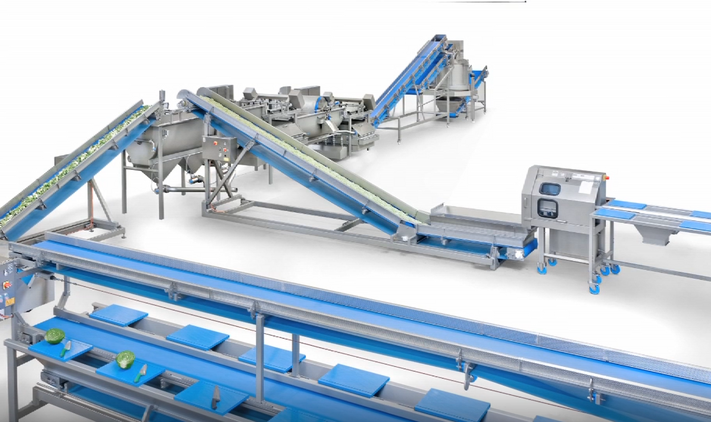 c m ws weighing conveyor processing line salad with weighing conveyor overview 1