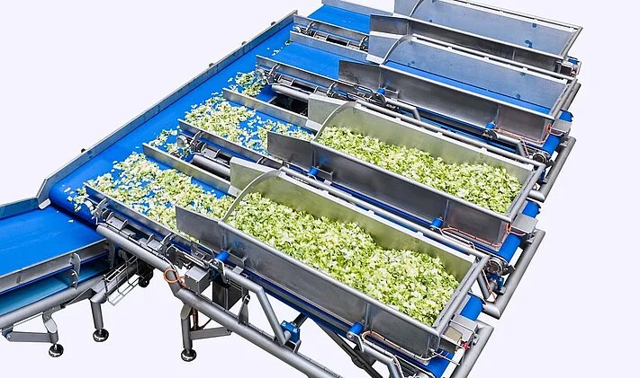 c m ws weighing conveyor smart salad processing line flow weigh belt system overview 1