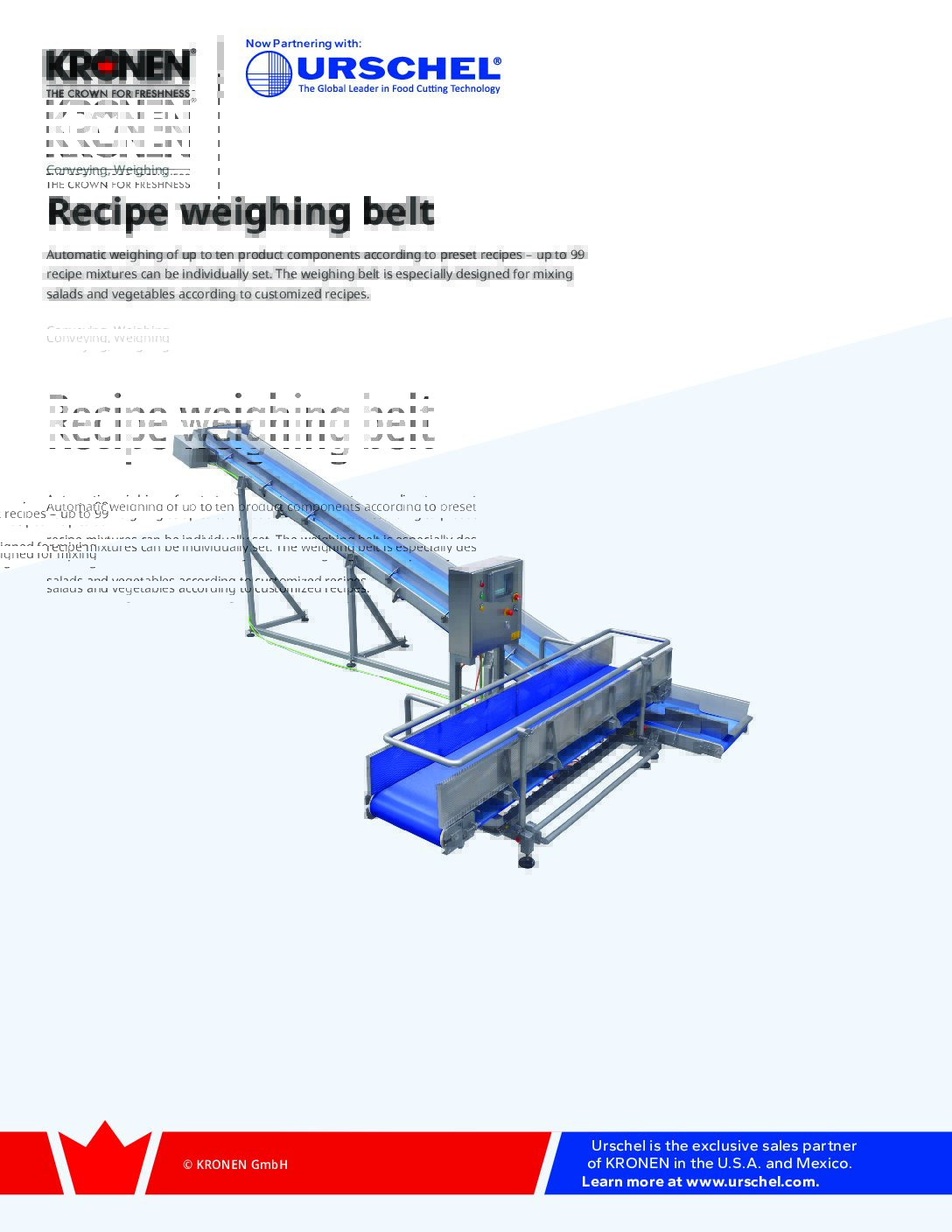 c ws recipe weighing belt brochure pdf
