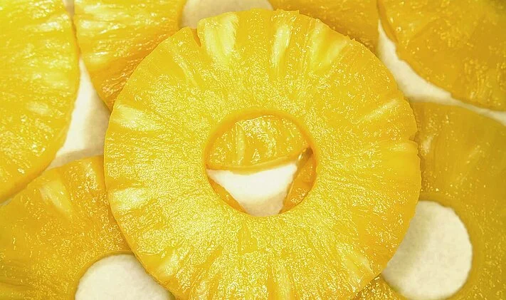 ce mass manual pineapple slicer pineapple slices overview