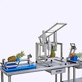 ce mpc 100 manual pineapple chunk cutter processing line highlights
