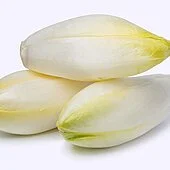 ce pe crc 200 chicory without root highlights