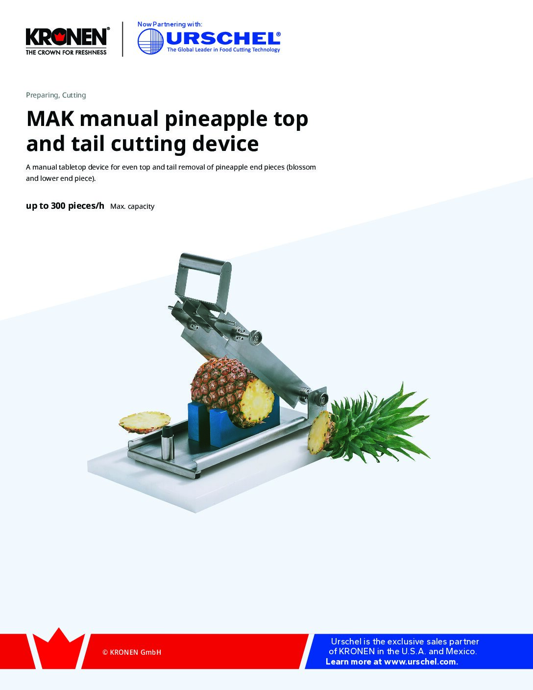 ce pe mak manual pineapple top and tail cutting device brochure pdf