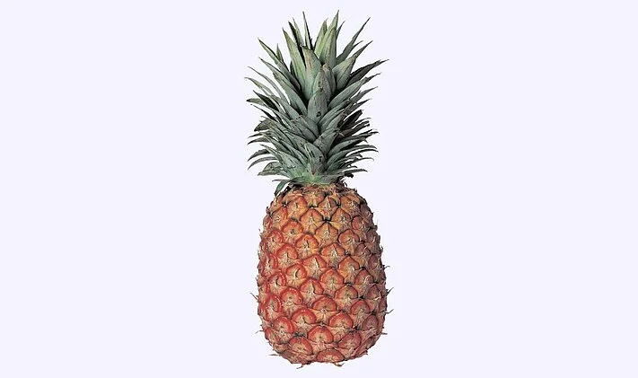 ce pe mak manual top tail cutting device pineapple MAK whole pineapple overview