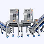 ce pm as 6 apple peeling slicing machine increased capacities highlights