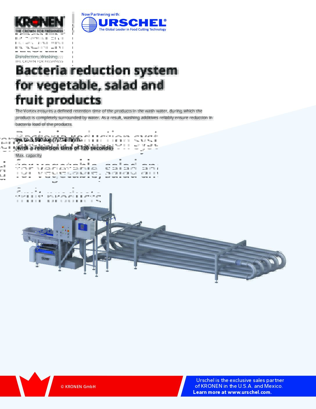 d vortex bacteria reduction system for vege salad and fruit products brochure pdf
