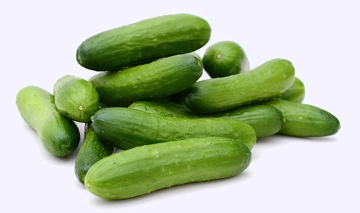 de hfds 5000 800 food processing technology snack cucumber overview