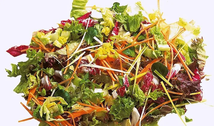 m k120 k230 mixing machine sliced mixed salad overview