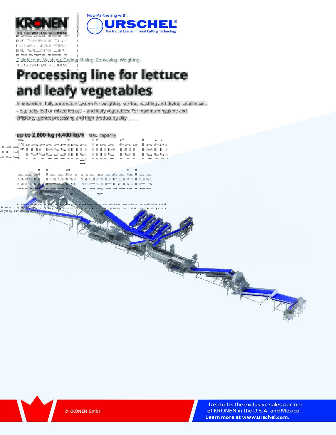 pl lettuce leafy veg 2000 brochure pdf