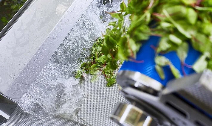 pl lettuce leafy veg 2000 gewa af xl washing machine for salad vegetable fruit herbs example babyleaf overview