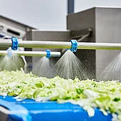 pl lettuce leafy veg 2000 processing line optimum hygiene highlights