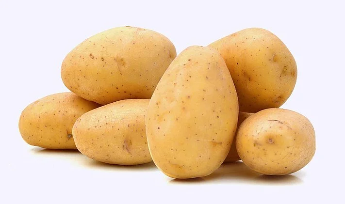 pl potatoes 1200 food processing technology potatoes overview