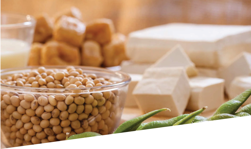 vegan products processing machines