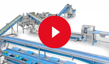 video automatic weighing belt 1