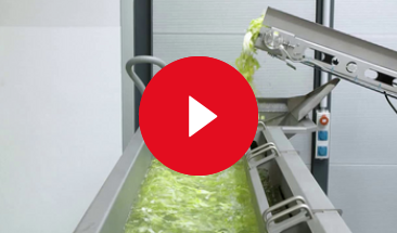 video gewa xl 1
