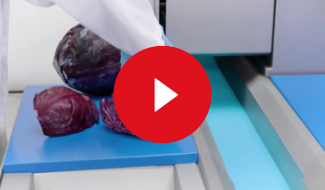 video gs 10 belt cutting 4