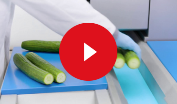 video gs 10 belt cutting 5