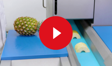 video gs 10 belt cutting 6