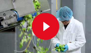 video k850 drying system 1