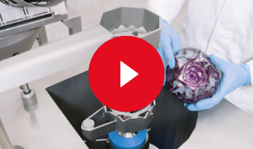 video ksb 2 cabbage coring 1