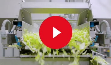 video kws crate weighing system 2