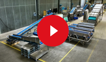 video pl lettuce leafy veg 2