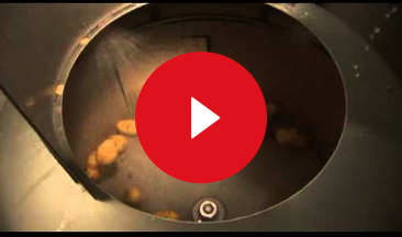 video pl potatoes 1200 600 2