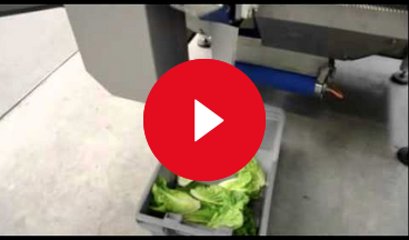 video tt450 top and tail machine 2