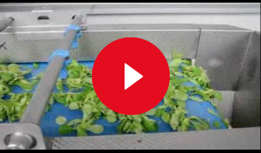 video vortex bacteria reduction system 2