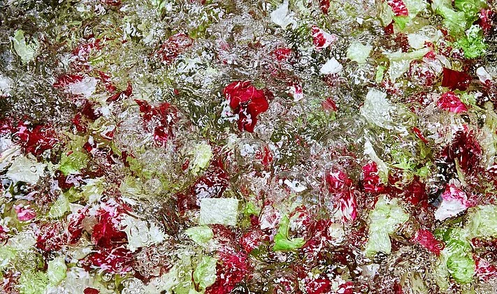 we hewa 2600 food processing technology washing mixed salad overview