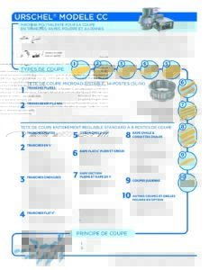 fact sheet model cc french pdf