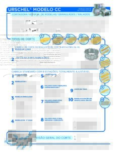 fact sheet model cc portuguese pdf
