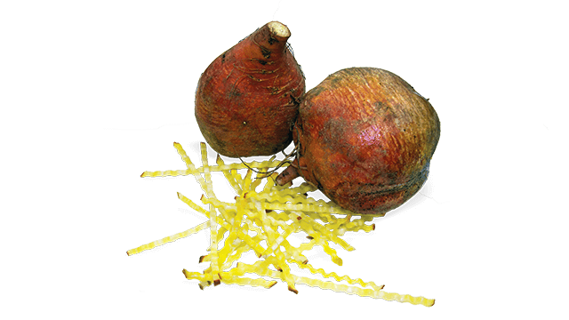 beets crinkle noodle 2110a