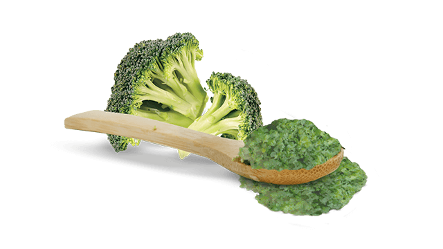broccoli rice comitrol 1700