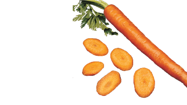 carrot bias slice oc
