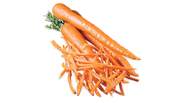 carrot shred 2110a