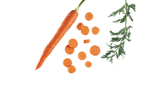 carrot slice translicer 2520