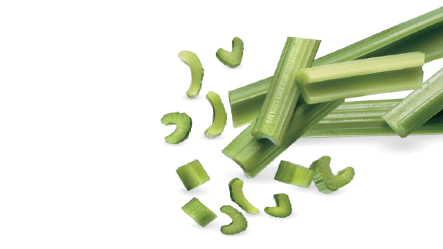 celery slice translicer 2510