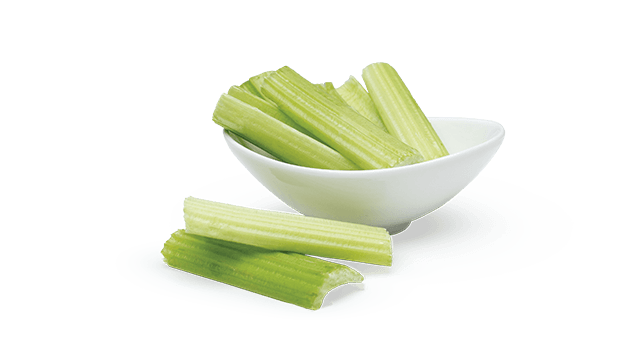 celery slice translicer 2520