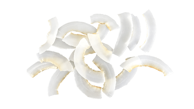 coconut chip cc