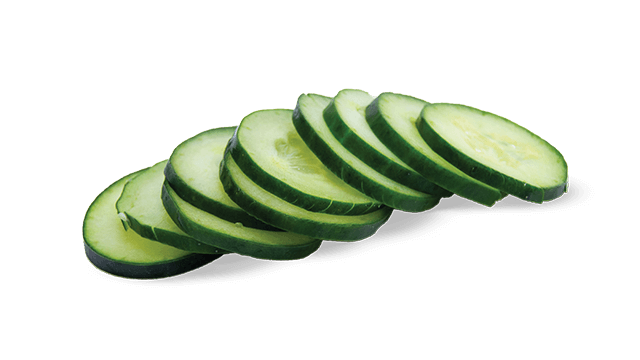 cucumber slice translicer 2520