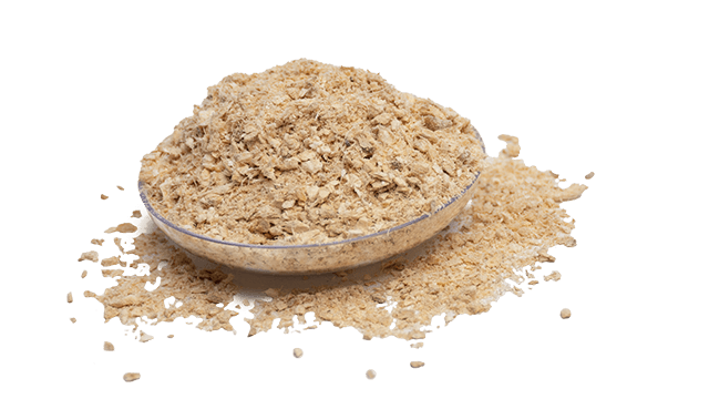 ginger granulation comitrol 1700