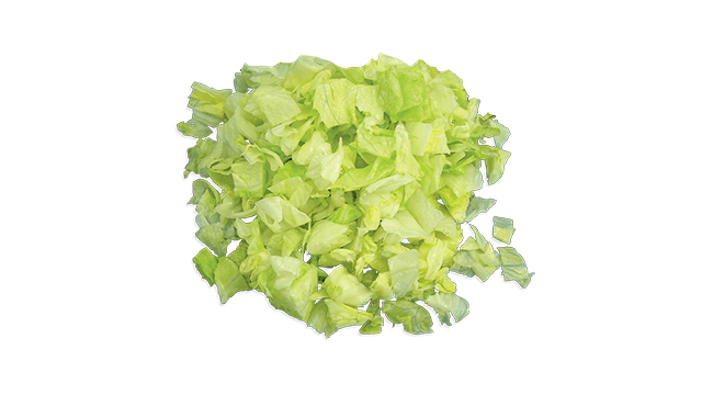 icebur lettuce chop sprint