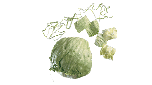 iceburg lettuce julienne translicer 2510
