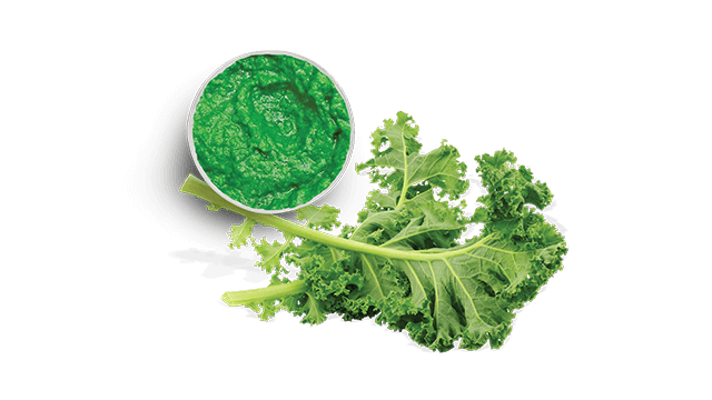 kale puree comitrol 1700