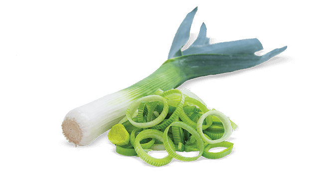 leek slice translicer 2520