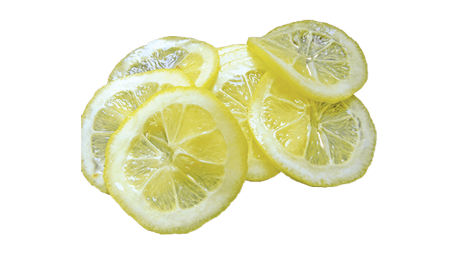 lemon slice etranslicer