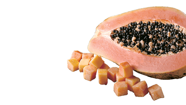 papaya dice translicer 2520