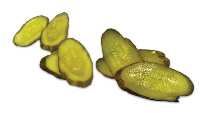 pickle 30 degree bias etranslicer