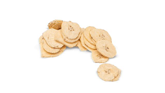 plantain microslice etranslicer